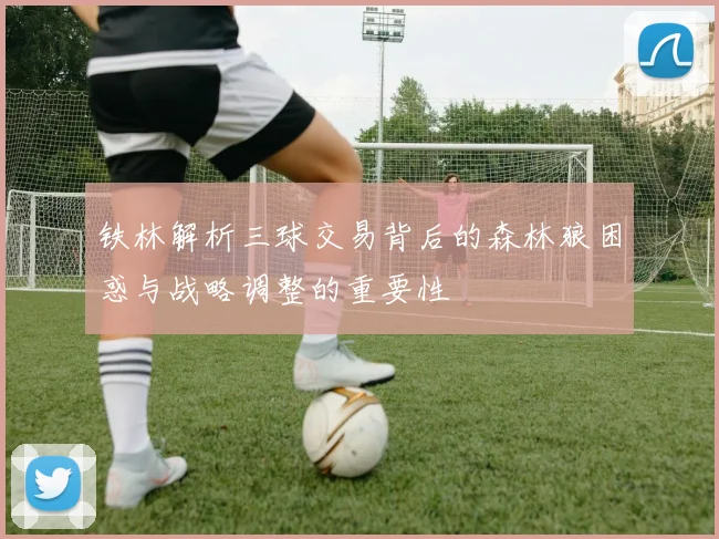 铁林解析三球交易背后的森林狼困惑与战略调整的重要性