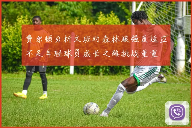 费尔顿分析文班对森林狼强度适应不足年轻球员成长之路挑战重重