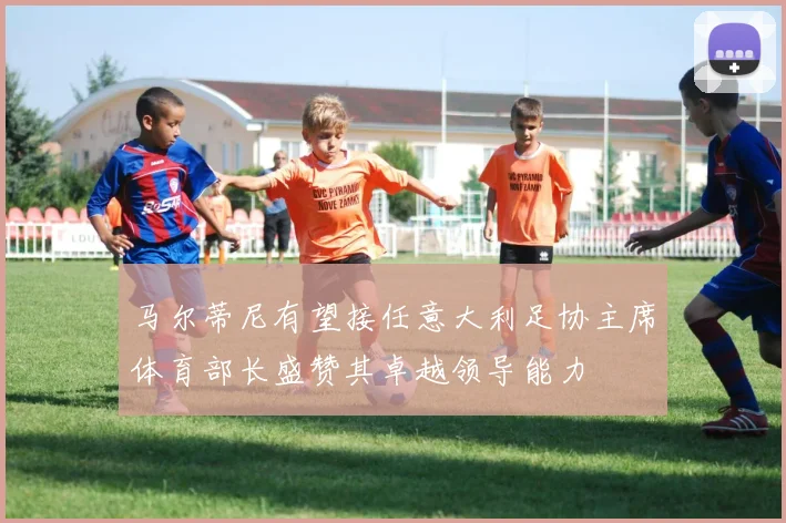 马尔蒂尼有望接任意大利足协主席体育部长盛赞其卓越领导能力